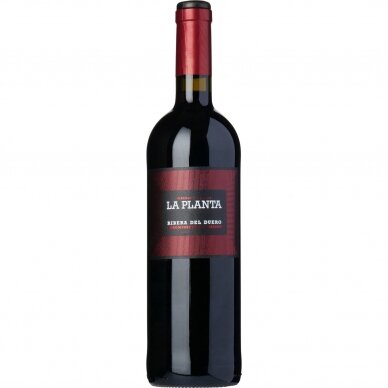 Arzuaga La Planta Ribera del Duero Semi Crianza, 0,75l Arzuaga La Planta Ribera del Duero Semi Crianza, 0,75l
