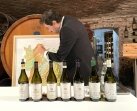 Lankome „VIBERTI“ šeimos vyno ūkį: šiaurės Italijos vynų degustacija istoriniame Barolo miestelyje