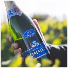 Madame Pommery – moteris pakeitusi šampano istoriją