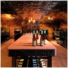 „Weingut Robert Weil“ vyno ūkis įtrauktas į „Wine & Spirits“ žurnalo 2022 m. vyninių TOP100